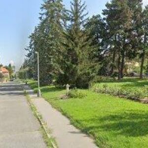 obrazek: avatar NIGRINOVÁ SOŇA PhDr.