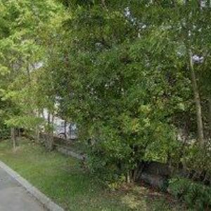 obrazek: avatar PŘEKLADATELKA-TLUMOČNICE-MALKOVSKÁ ALŽBĚTA Mgr.