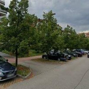 obrazek: avatar NEČASOVÁ MIROSLAVA PhDr.