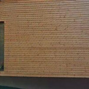 obrazek: avatar KRAUS PAVEL