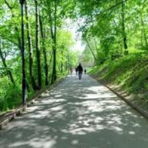 obrazek: avatar RESTAURANT & HOTEL NEBOZÍZEK