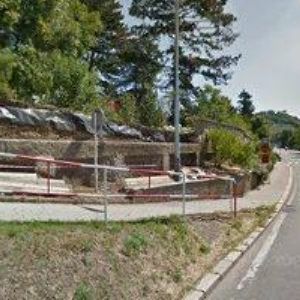 obrazek: avatar CAMP HERZOG