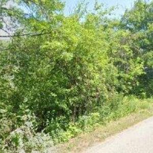 obrazek: avatar UBYTOVNA HELP