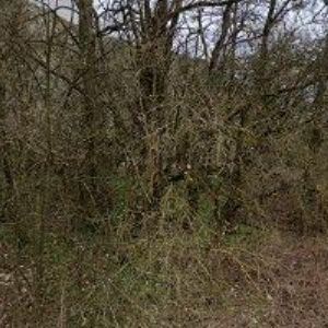 obrazek: avatar UBYTOVÁNÍ U VÁPENKY