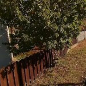 obrazek: avatar GJW PRAHA spol. s r.o.