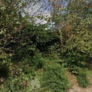 obrazek: avatar A.D.U.-DAŇOVÁ A ÚČETNÍ KANCELÁŘ