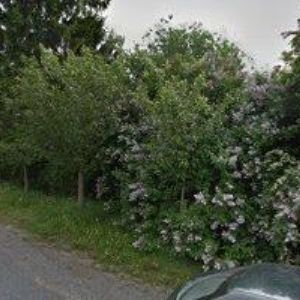 obrazek: avatar ARBONET, s.r.o.