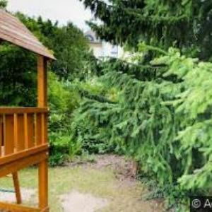 obrazek: avatar FIN-PARTNER ACCOUNTING-TAX s.r.o.