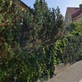 ELFMARKOVÁ MONIKA JUDr.