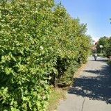 AK-KUTNAR RUDOLF JUDr. Ing.