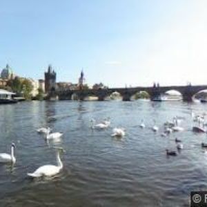 obrazek: avatar LETNÍ POHODA