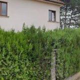 HUDEBNÍ ŠKOLA YAMAHA