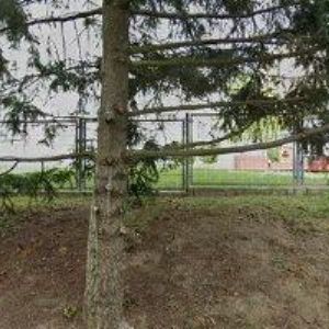 obrazek: avatar DAVÍDKOVOVÁ HANA-VÝUKA KLAVÍRU