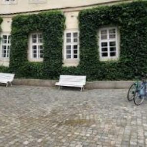 obrazek: avatar AKADEMIE MÚZICKÝCH UMĚNÍ-HUDEBNÍ A TANEČNÍ FAKULTA