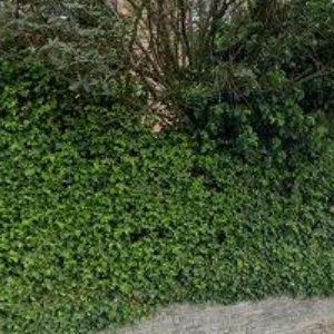 obrazek: avatar BOOM MUSIC, s.r.o.