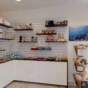 obrazek: avatar BITTNEROVÁ ILONA Mgr.