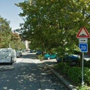 obrazek: avatar ČESKÝ SVAZ OCHRÁNCŮ PŘÍRODY 01/87 STROM