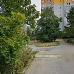 obrazek: avatar PROXIMA SOCIALE o.p.s.