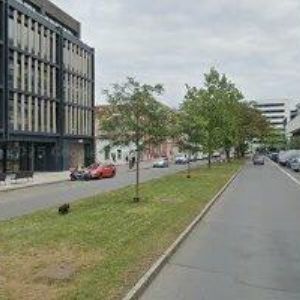 obrazek: avatar PIONÝRSKÁ SKUPINA OMEGA