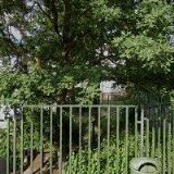 121. PIONÝRSKÁ SKUPINA BOR