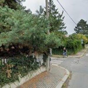 obrazek: avatar AKITA INU CZECH CLUB z.s.