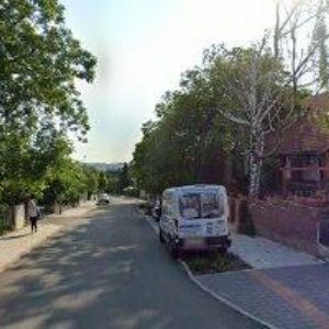 obrazek: avatar KLUB CHOVATELŮ CHRTŮ ANGLICKÝCH DOSTIHOVÝCH PLEMEN ČR z.s.