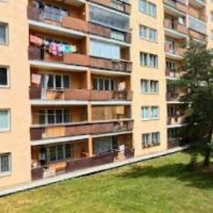 obrazek: avatar KLUB CHOVATELŮ A PŘÍZNIVCŮ FRETEK