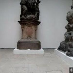 obrazek: avatar MOŘSKÝ SVĚT