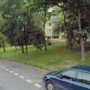 obrazek: avatar TINTĚRA MARTIN