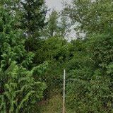 ISLAMSKÁ NADACE V PRAZE