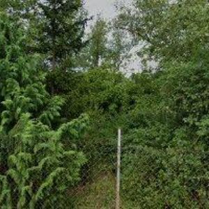 obrazek: avatar ISLAMSKÁ NADACE V PRAZE