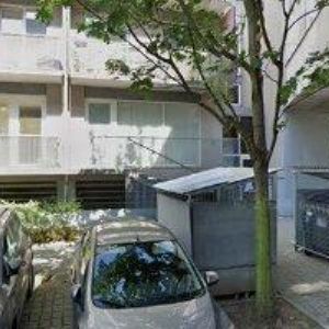 obrazek: avatar KVĚTINOVÝ ATELIÉR IVY JUNGROVÉ