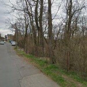 obrazek: avatar TVRDÁ KATARÍNA