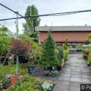 obrazek: avatar PRAGOFLORA s.r.o.