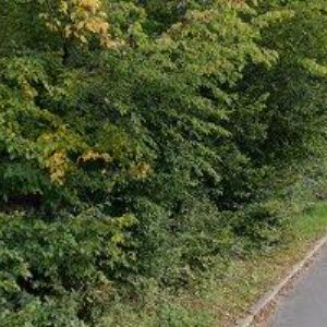 obrazek: avatar ANTÉNY LEHOVEC