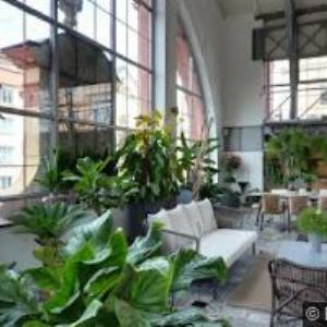 obrazek: avatar AVITSMART