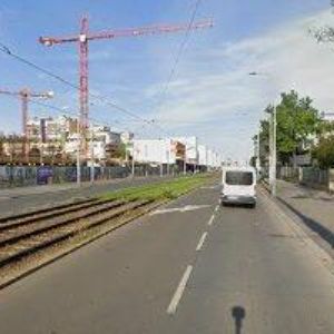 obrazek: avatar NOVOTNÝ ZBYNĚK BONO