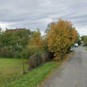 obrazek: avatar FALLADA JOSEF