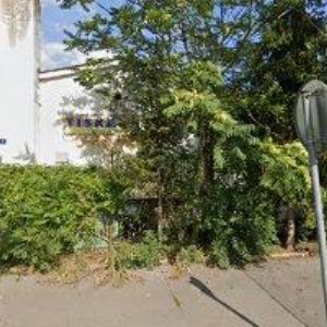 obrazek: avatar VISIT-ČECHURA ROMAN