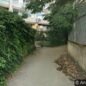 obrazek: avatar TŮMOVÁ ALICE