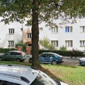 obrazek: avatar DVOŘÁKOVÁ ANNA