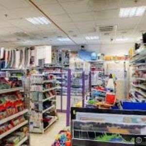 obrazek: avatar S.FIORENTINO