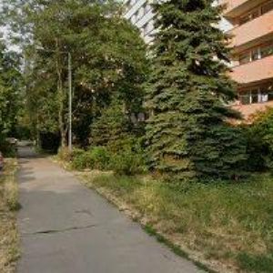 obrazek: avatar OČNÍ OPTIKA CVIKR