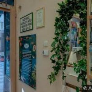 obrazek: avatar AS OPTIC s.r.o.