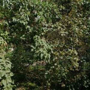 obrazek: avatar EXPRESFIT