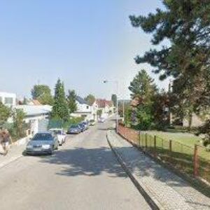 obrazek: avatar ČESKÝ ZELINÁŘ s.r.o.