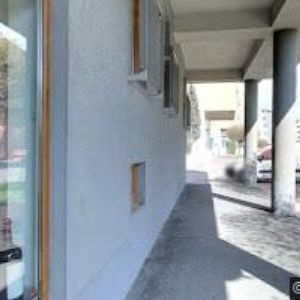 obrazek: avatar WM TRADE s.r.o.