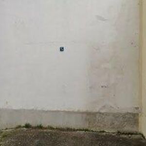 obrazek: avatar TOUS