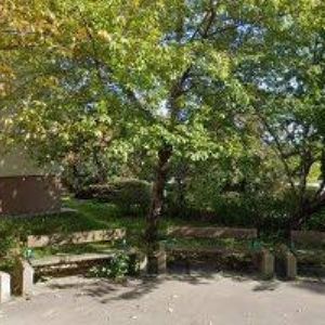 obrazek: avatar KRBY KAMNA MATĚJKA