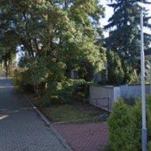 obrazek: avatar KOŘÍNEK PETR DiS.